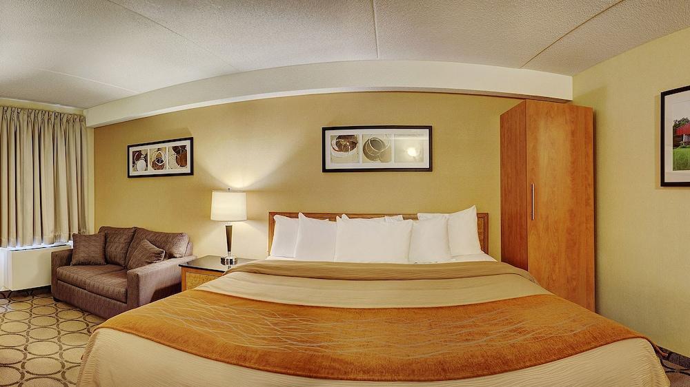 Comfort Inn Sudbury Room photo